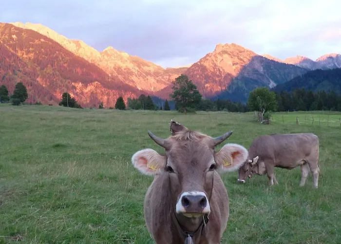 Apartament Haus Angelika